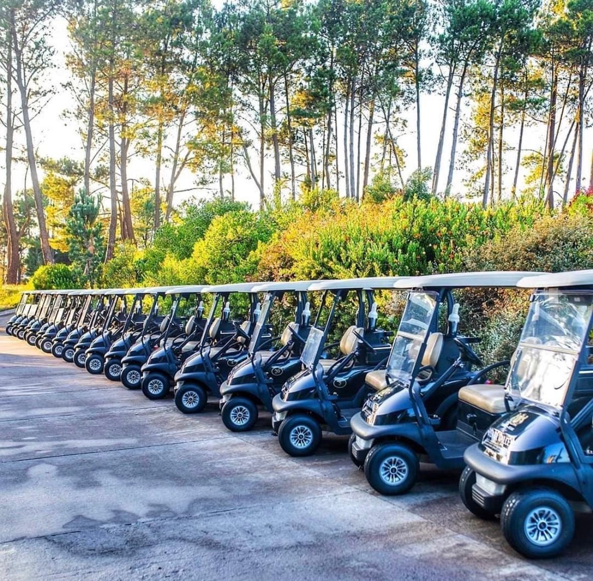 Golf carts at Pearl Valley
